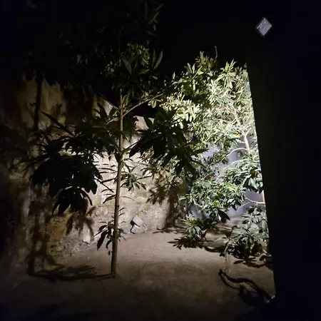 Locus Amoenus 펜션 아치레알레
