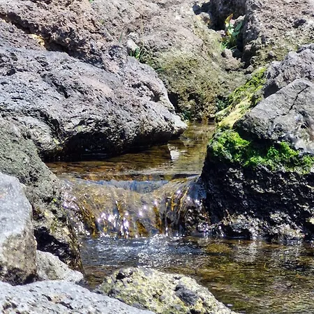 Locus Amoenus